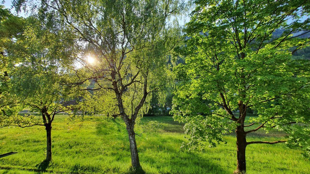 Abendlicht über den Bergen
