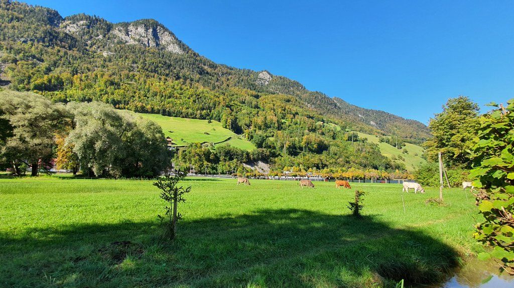 Herbstlicher Alpnachersee