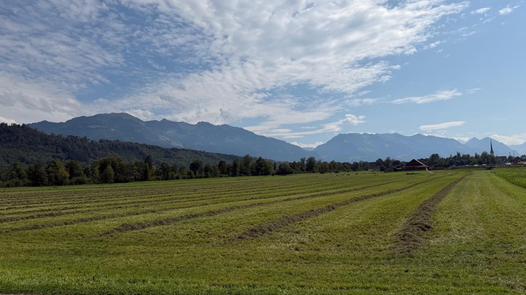 Weites Feld vor der Bergkulisse bei Alpnachstad