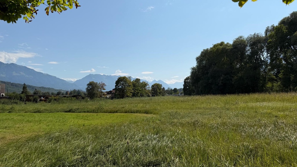 Blühende Wiese vor dem Bergpanorama bei Alpnachstad