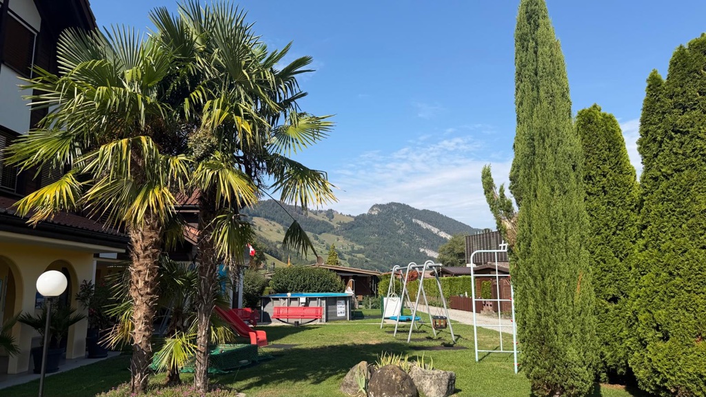 Palmen und Spielplatz auf dem Städerried Camp