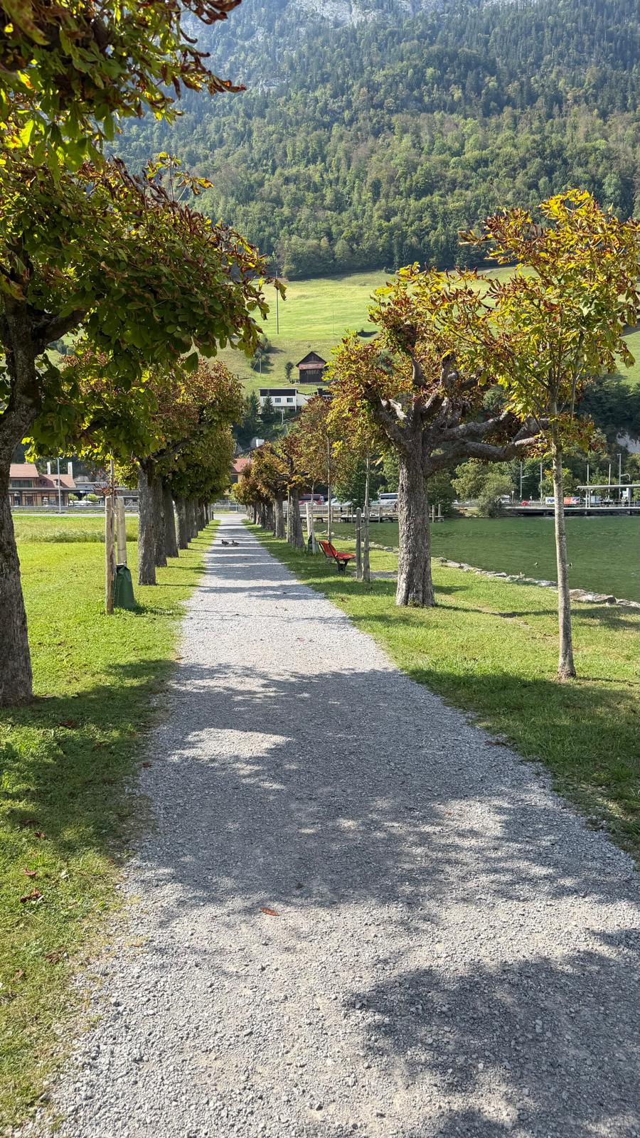 Baumgesäumter Uferweg am Alpnachersee